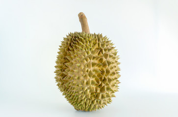 Durian. Tropical Fruit on white background