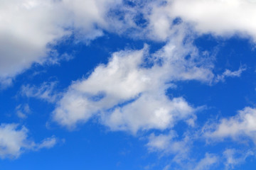 texture cloud the summer sky