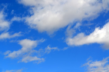 Obraz premium texture cloud the summer sky