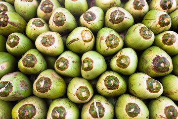 Green fresh coconuts