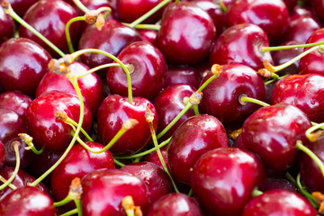 Large red cherry background. Berries of cherry. Beneficial dietary food. The gifts of nature vitamin. Delicious berries cherries with water droplets.
