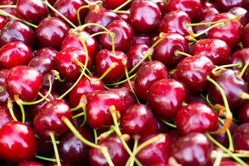 Large red cherry. Background of berries of cherry with water droplets. Beneficial dietary food. The gifts of nature vitamin. Delicious berries cherries.