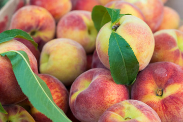 Large juicy peaches background. Peach fruit with a velvety skin. Useful dietary and vegetarian food. The gifts of nature vitamin. Peaches are delicate and fresh.