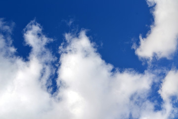 Obraz premium texture cloud the summer sky