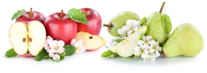 Apfel und Birne Äpfel Birnen Frucht rot grün frische Früchte