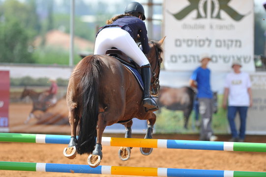 The rider overcomes the obstacle on the horse jumping competition