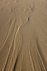 dessins naturels dans le sable