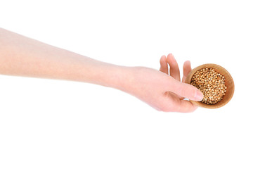 Hand holding wooden bowl with coriander seeds isolated on white