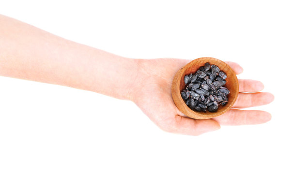 Hand holding wooden bowl with dried barberry isolated on white