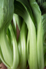 Obraz premium close up choy vegetable as a background