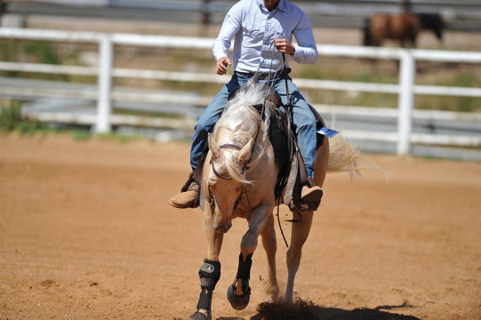 The front view of the rider in leather chaps sliding his horse forward