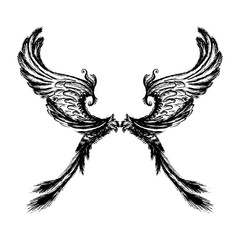 Obraz premium Wings isolated on white background,hand drawing.
