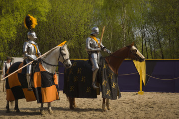 The horse knights in an armour and in a helmet with a sword in a
