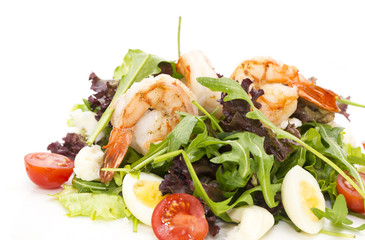 salad greens and shrimp on a white background in the restaurant