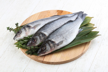 Seabass