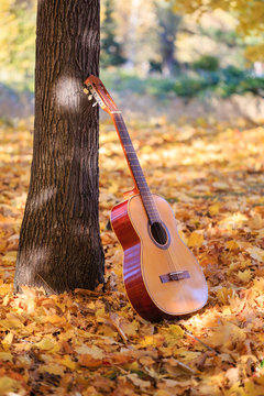 Autumn melody