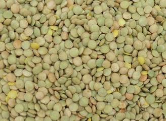 Lentils pulse grain legume vegetables