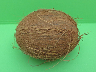 Coconut fruit over light green background