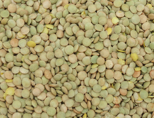 Lentils pulse grain legume vegetables