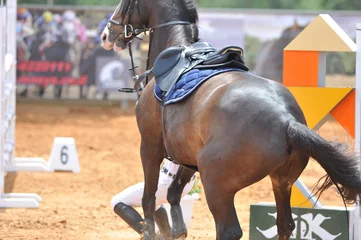Photo sur Plexiglas Léquitation The rider falls off his horse during the passage of obstacles