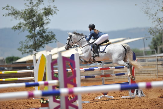 The side view on the rider overcomes the obstacle on the horse jumping competition