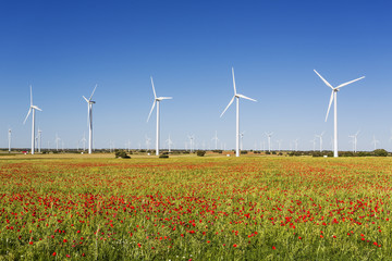 Wind turbines/Wind energy. Castilla-La Mancha, Spain, Europe.