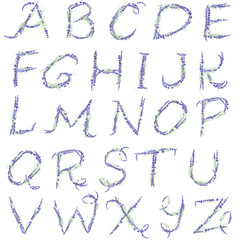 English alphabet of watercolor lavender flowers, isolated hand drawn on a white background, wedding design, english capital letters for the festive and wedding decor and cards