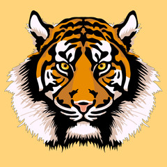 adult tiger head face realistic 