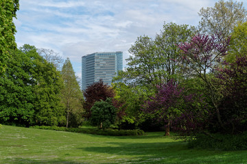 Public park and a tower building in Mannheim in Germany.