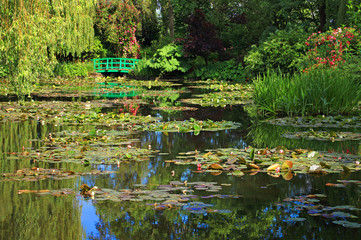 Obrazy na Szkle  Giverny, ogród wodny