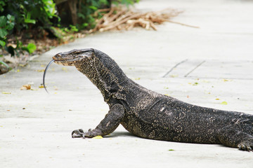 Fantastic soft white clouds against blue sky.