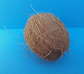Coconut fruit over light blue background