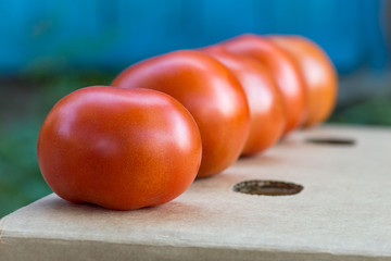 ripe tomatoes on a cardboard box in a row