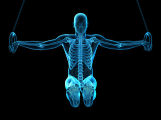 medically accurate 3d illustration of a human athlete