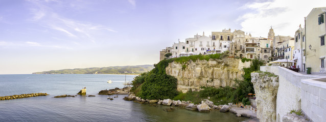 vieste adriatic sea gargano apulia italy panoramic cliff