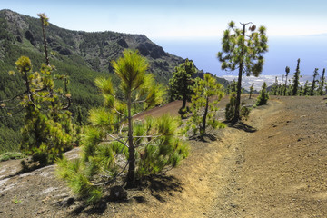 Sentier de randonnée dans la région d'Ayosa à Tenerife