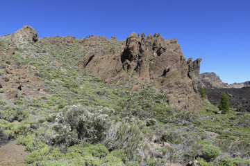 Rocher dans le Parc National du Teide