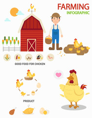 Chicken farm infographics,illustration