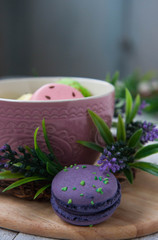 
Purple macaroons about pink plates on a dark background
