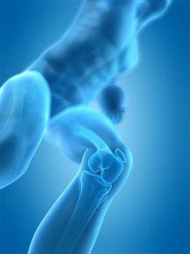 medically accurate 3d illustration of the humann knee
