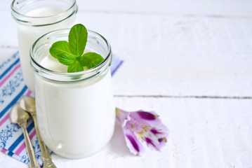 Homemade fermented yogurt on a white background with space for t