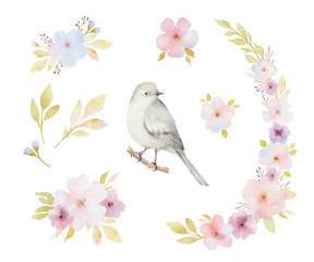 Watercolor set of birds, flowers and bouquets.