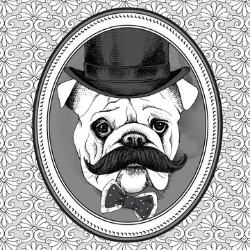 The picture in the frame with image of the dog Bulldog with mustaches in the bowler hat and bow. Vector illustration.
