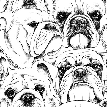 Seamless pattern with the image of a bulldog portraits. Vector black and white illustration.