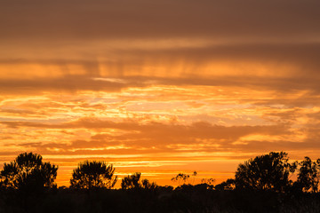 Golden rays in a cloudy sky at sunset in Ayamonte, Andalucia, Spain. Trees can be seen silhouetted in the foreground.