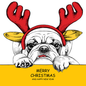 The image dog Bulldog portrait in mask Santa's antler reindeer. Vector illustration.