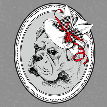 The picture in the frame with image of the dog Bulldog in the Women's hat. Vector illustration.