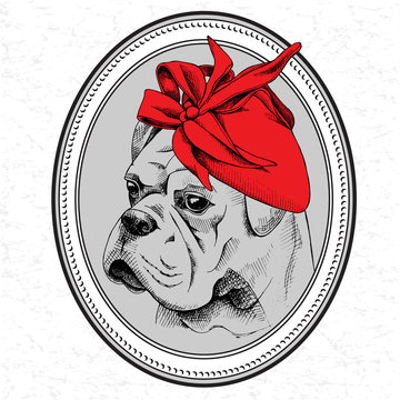 The picture in the frame with image of the dog Bulldog in the Women's hat. Vector illustration.