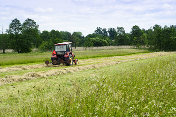 Old tractor on green field
