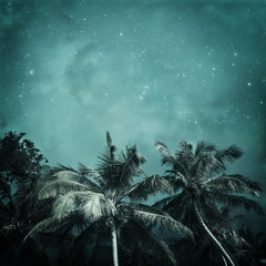 tropical background - 114372724